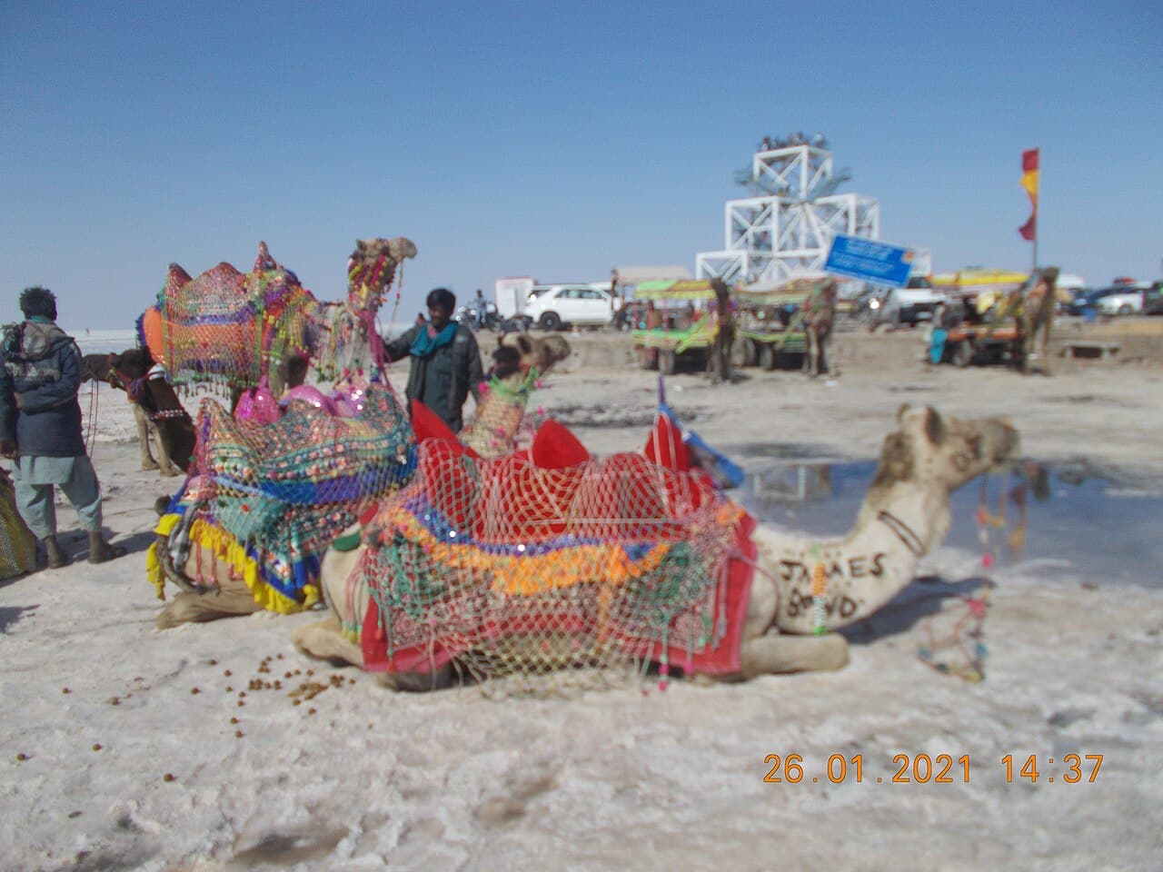 4-day Rann Utsav Tent City package experience