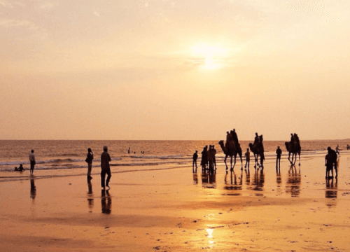 Complete Kutch Tour