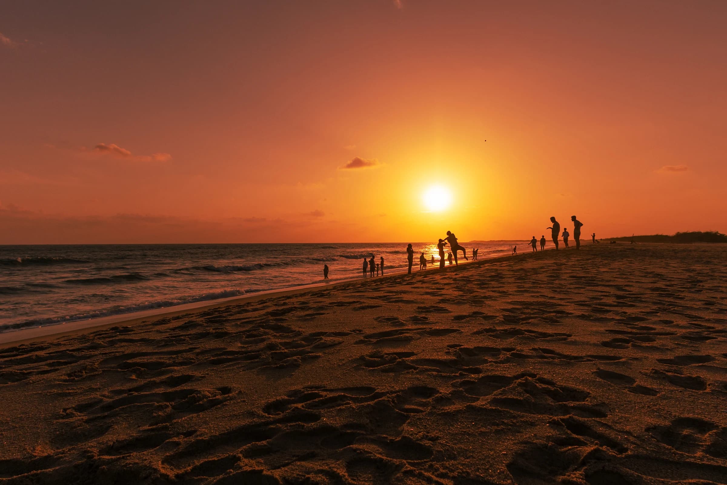 Mandvi Beach Kutch 2026-27 — Complete Guide, Activities & How to Reach